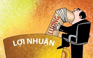 Điểm tên doanh nghiệp lãi lớn, sếp lương 'khủng'