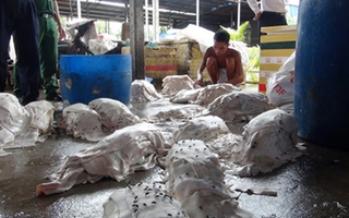 Bạch tuộc làm từ cao su, bún nhiễm chất tẩy rửa "dọa" người tiêu dùng