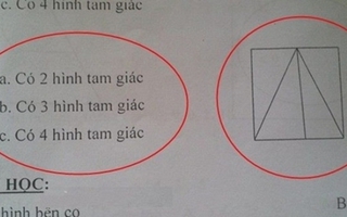 Bài toán lớp 3 đếm số hình tam giác gây tranh cãi