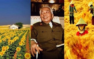 Những tin tức khuấy đảo cộng đồng mạng tuần qua
