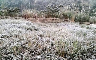 Nhiệt độ xuống -2 độ C, Nghệ An bất ngờ xuất hiện băng tuyết