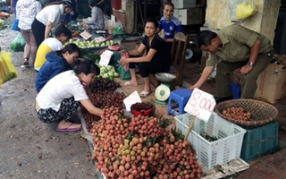 Vải 8.000, mận 10.000 đồng: Ế ngập chợ, tràn vỉa hè