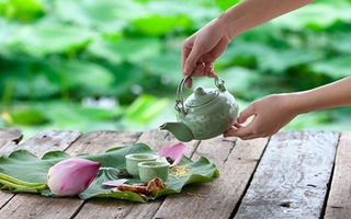 Thảnh thơi thưởng thức nét đẹp bình dị của sen Hà thành