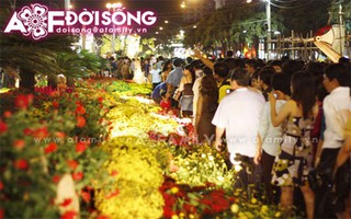 Từng bừng khai mạc đường hoa Nguyễn Huệ