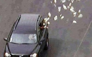 Đại gia rải tiền hơn 3km để... lấy may