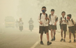 Ít nhất 19 người tử vong vì khói mù ở Indonesia