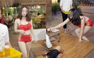 Vụ nhân viên mặc bikini phục vụ bia: Nhà hàng nói do hãng bia, hãng bia phủ nhận