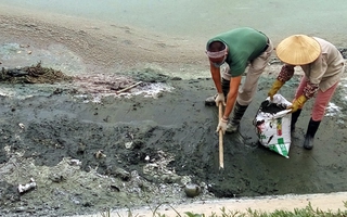 Hà Nội: Hồ Ngọc Khánh vừa cải tạo, dân đã than khốn khổ vì mùi xú uế tựa... phân lợn