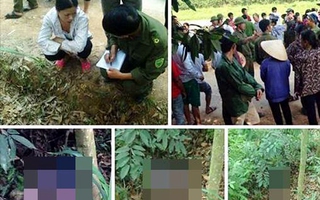 Thái Nguyên: Phát hiện thi thể bé gái 2 tuổi đã phân hủy sau 10 ngày bị mẹ vứt vào bụi rậm