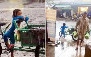 Đứa trẻ 5 tuổi và xe chở dừa giữa trời mưa khiến ta chạnh lòng