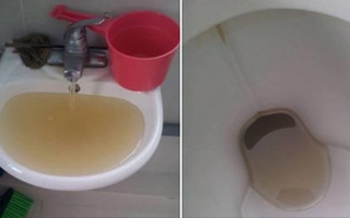 Hà Nội: Giáo viên tố trường MN dùng nước đục ngầu như nước bồn cầu nấu ăn cho trẻ