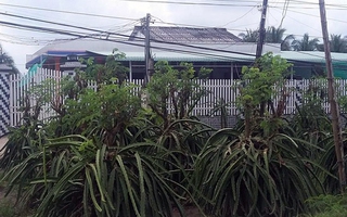 Nghi vấn 3 mẹ uống thuốc sâu tử vong vì bể hụi