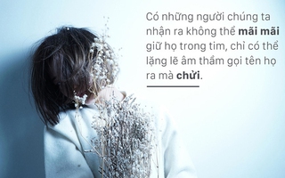 Những trích dẫn nhảm nhí giúp bạn bớt ảo tưởng vào cuộc sống