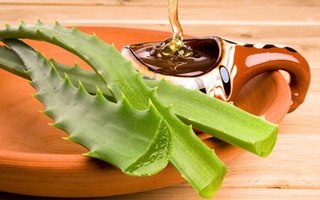 Tác dụng chữa bệnh thần kỳ của ly sinh tố lô hội mật ong giúp vị bác sĩ chữa khỏi ung thư phổi