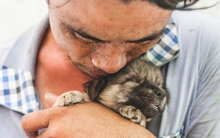 Cuộc sống của người đánh giày câm và chú chó mù giờ ra sao?