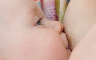 Cho con bú 6 tháng, mẹ sẽ thon thả 