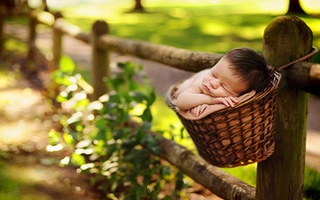 Ngắm không chớp mắt chùm ảnh bé ngủ trong rừng