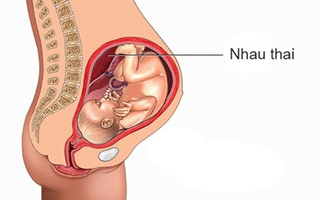 9 điều cực hay về nhau thai có thể mẹ bầu chưa biết