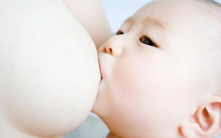 Cho con bú: 7 sự thật thú vị có thể bạn chưa biết