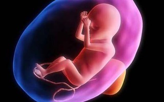 Những sự thật kinh ngạc về thai nhi trong bụng mẹ