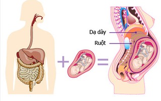 Những thay đổi quan trọng của cơ thể trong 9 tháng thai kỳ  
