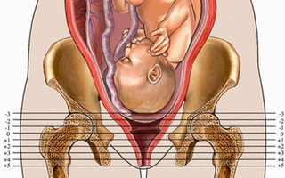 Những diễn biến của cơ thể trước và trong lúc chuyển dạ