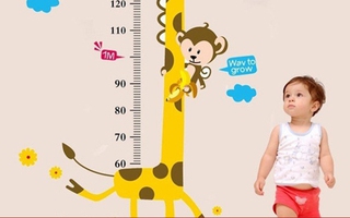 Nhật ký tăng chiều cao cho con của một mẹ Việt