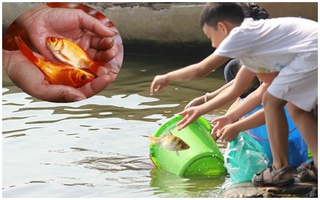 Trẻ em TP.HCM nô nức thả cá tiễn Táo quân, Hà Nội xuất hiện "Táo nilon"
