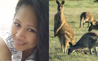 Người mẹ vật lộn với kangaroo hung hãn để cứu con gái 2 tuổi