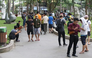 Cành cây cổ thụ gãy đè người phụ nữ, hàng trăm người đang mải "bắt" Pokemon hoảng loạn tháo chạy