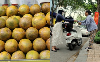 Mùa cóc chín, xe bán cóc dạo trung tâm Sài Gòn bán nửa tạ/ ngày, kiếm 40 triệu đồng/ tháng