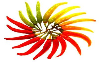 Những thực phẩm “đánh tan” chất béo