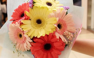 Hoa đẹp cho ngày 8/3 tại Flower Valley chỉ với 90.000đ