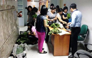 Nước mắt dân công sở đi buôn: "Đói đầu gối cũng phải bò"
