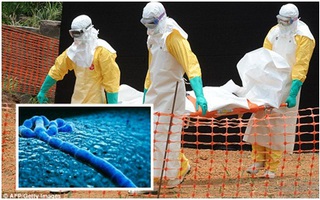 Lô vắc-xin Ebola đầu tiên đã được đưa tới Liberia