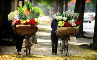 Bắc Bộ có nắng ấm ngày chủ nhật