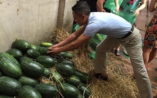 Họ đã "ăn" trên lưng nông dân 2.000 đồng/kg dưa?