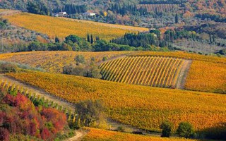 Tuscany – Vùng đất thiên đường