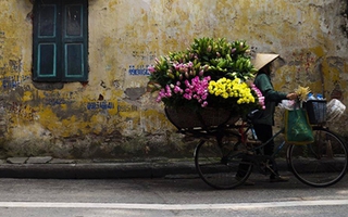 Hà Nội duyên dáng những gánh hoa rong