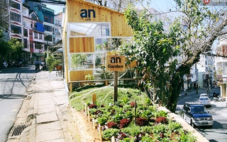 Những điều thú vị ở An - Quán cafe nằm giữa 5 cây mai anh đào cổ thụ tại Đà Lạt