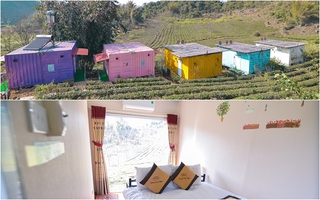 Lên Mộc Châu, ngủ nhà container đầy sắc màu giữa rừng mận trắng, cải vàng