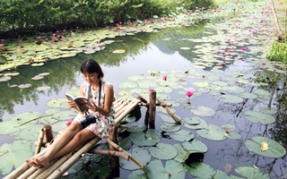 Đổi gió góc bình yên nơi suối Yến