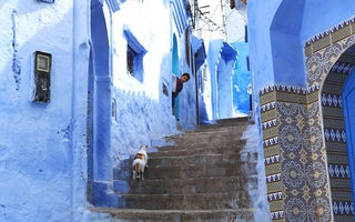 Khám phá thành phố màu xanh thiên đường Chefchaouen