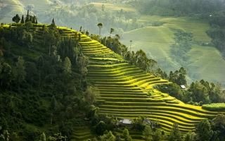 Đẹp như tranh Hoàng Su Phì mùa lúa chín