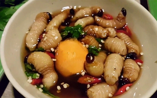 Thử độ can đảm với những món ăn "ngọ nguậy" trong miệng