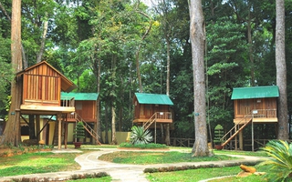 Muốn du lịch mới mẻ hãy quên resort, khách sạn đi để ở 3 ngôi nhà trên cây này!
