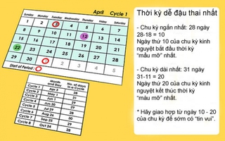 Những yếu tố ảnh hưởng đến sự rụng trứng và thụ thai