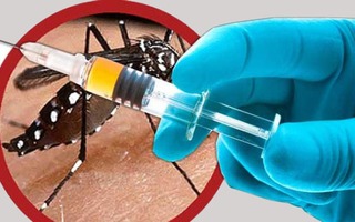 Vắc-xin sốt xuất huyết đầu tiên được thừa nhận: Đột phá Mexico!