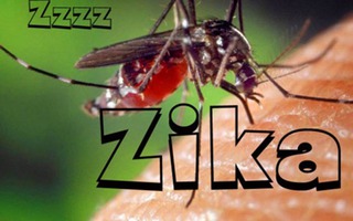 Phân biệt bệnh do vi-rút Zika và sốt xuất huyết, sốt siêu vi