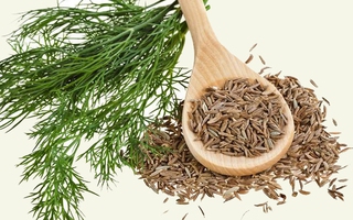 Thêm loại rau gia vị này vào thực đơn mỗi ngày bạn sẽ giảm béo nhanh gấp 3 lần
